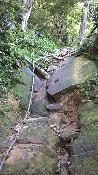 WP_20140913_007.jpg