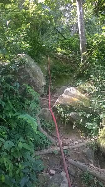 WP_20140913_014.jpg