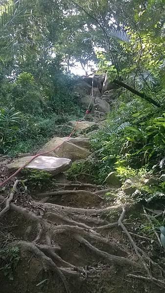 WP_20140913_015.jpg