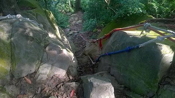 WP_20140913_018.jpg
