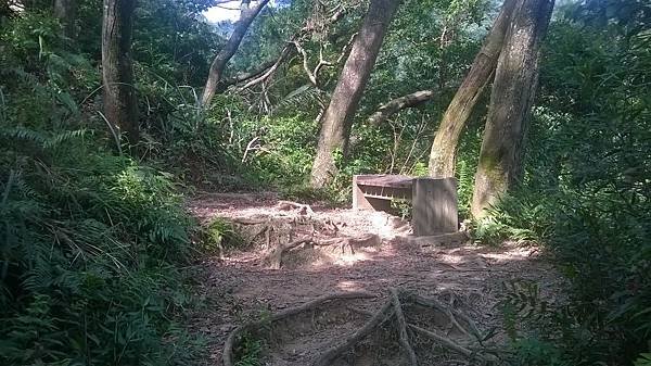 WP_20140913_019.jpg