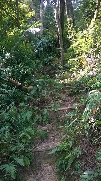 WP_20140913_021.jpg