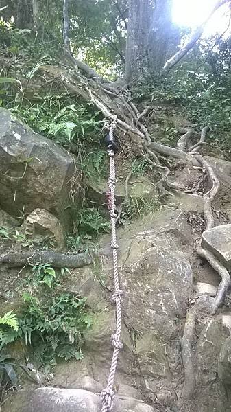 WP_20140913_022.jpg