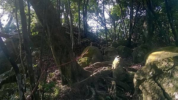 WP_20140913_024.jpg