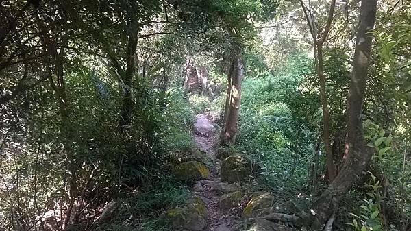 WP_20140913_026.jpg