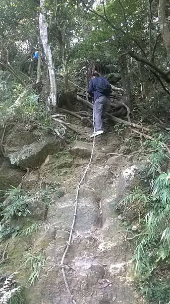WP_20140913_028.jpg