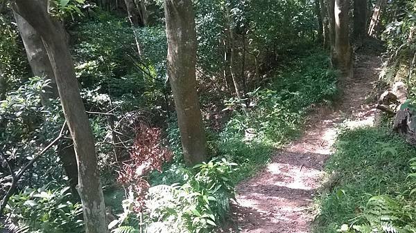 WP_20140913_032.jpg