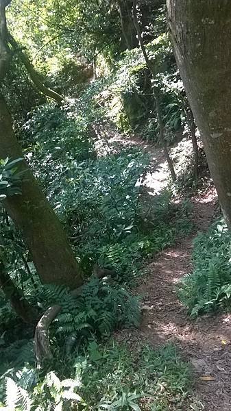 WP_20140913_033.jpg