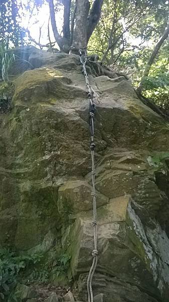 WP_20140913_035.jpg