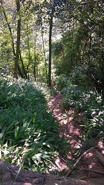 WP_20140913_037.jpg