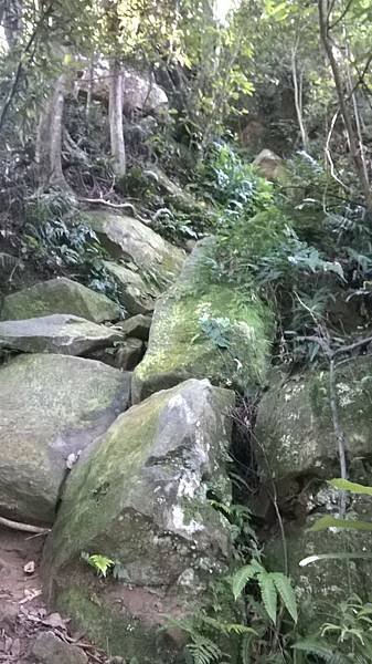 WP_20140913_039.jpg