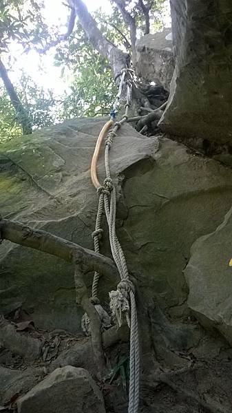 WP_20140913_041.jpg