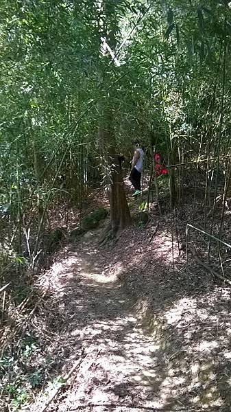 WP_20140913_042.jpg