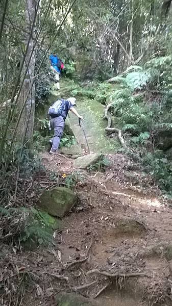 WP_20140913_043.jpg