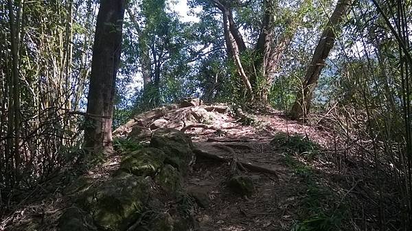 WP_20140913_046.jpg