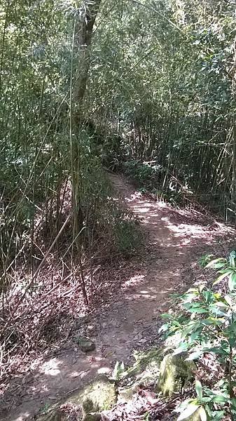 WP_20140913_047.jpg