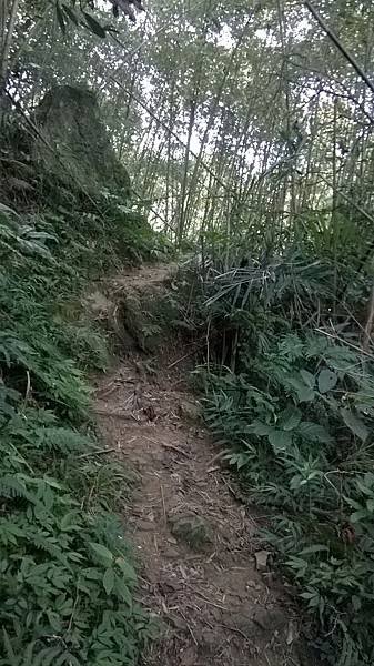 WP_20140913_049.jpg