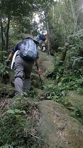 WP_20140913_050.jpg