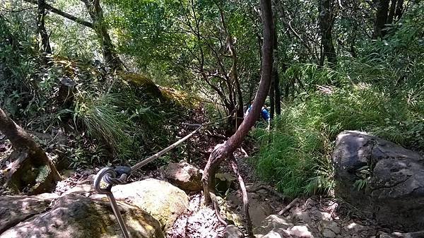 WP_20140913_074.jpg