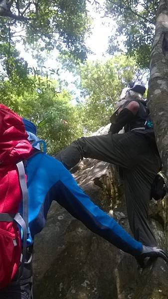 WP_20140913_078.jpg