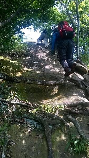 WP_20140913_081.jpg