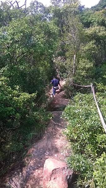 WP_20140913_088.jpg