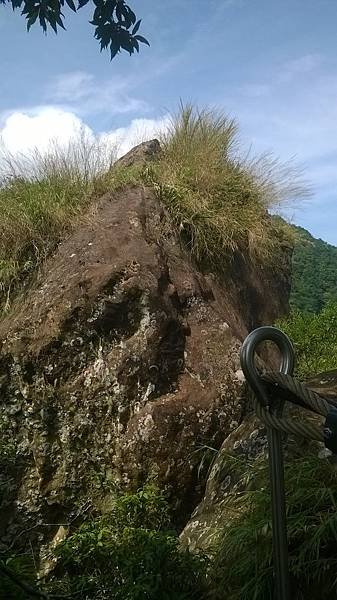 WP_20140913_089.jpg
