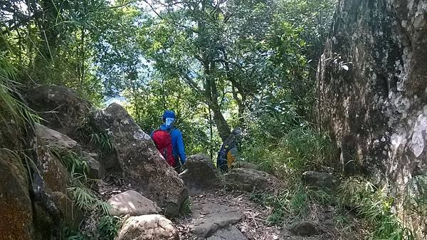 WP_20140913_095.jpg