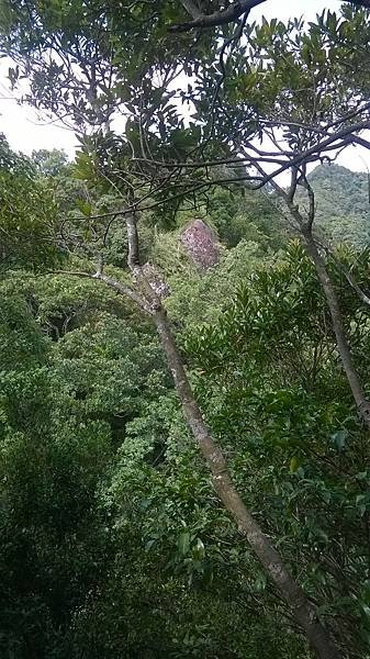 WP_20140913_099.jpg
