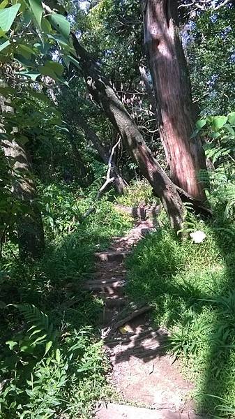 WP_20140913_056.jpg