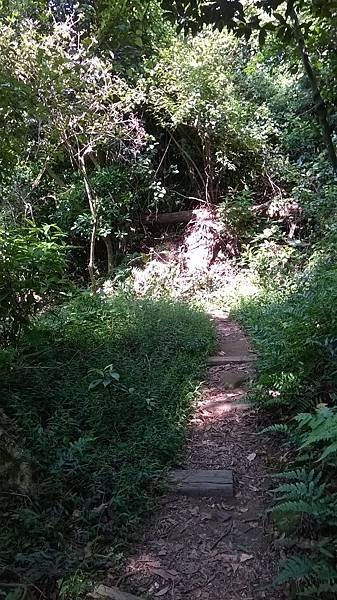 WP_20140913_057.jpg