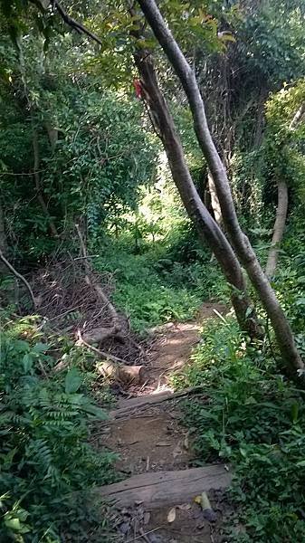 WP_20140913_058.jpg
