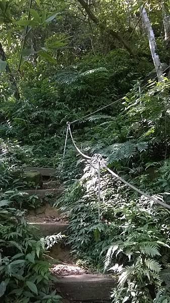 WP_20140913_062.jpg