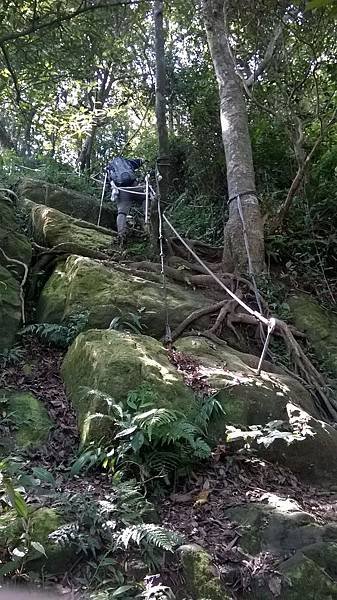 WP_20140913_063.jpg
