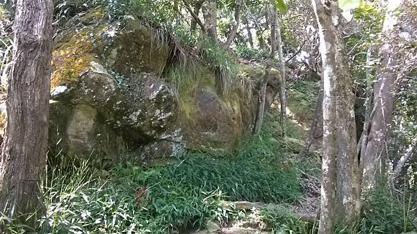WP_20140913_064.jpg