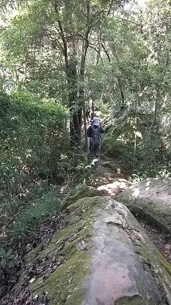 WP_20140913_067.jpg