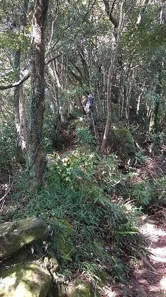 WP_20140913_069.jpg