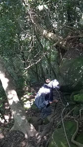 WP_20140913_070.jpg