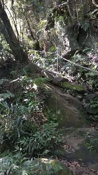 WP_20140913_071.jpg
