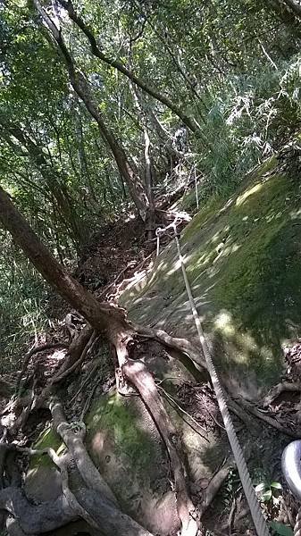 WP_20140913_072.jpg