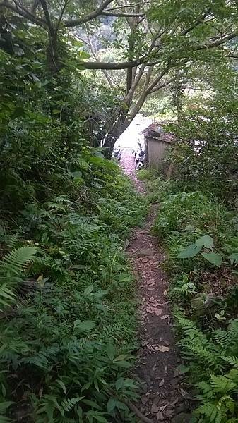 WP_20140913_304.jpg