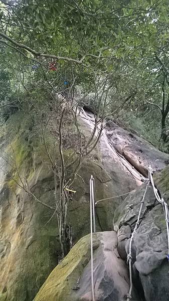 WP_20140913_101.jpg