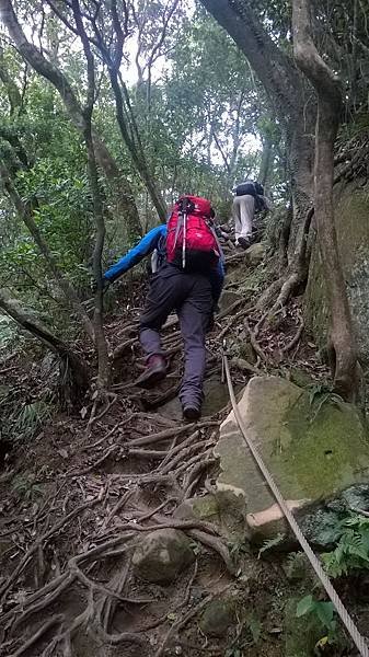 WP_20140913_102.jpg