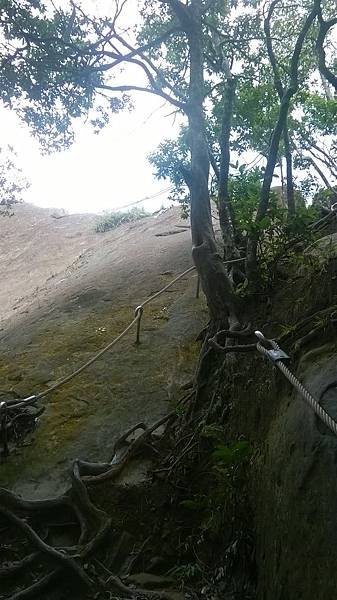 WP_20140913_105.jpg