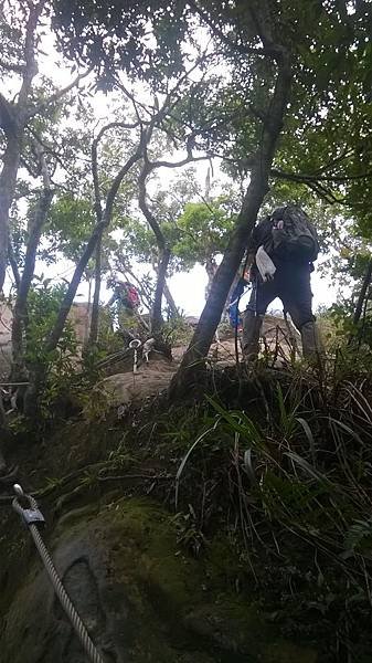 WP_20140913_106.jpg