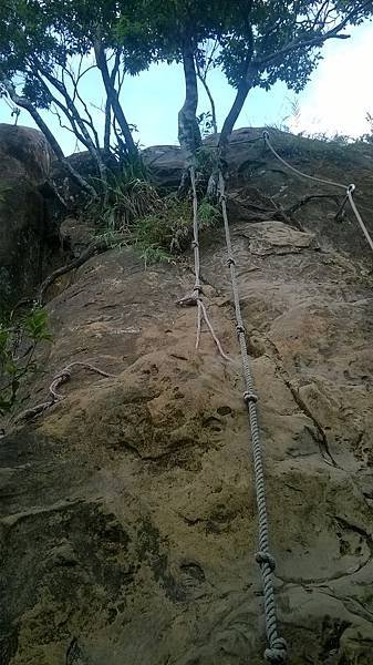 WP_20140913_107.jpg