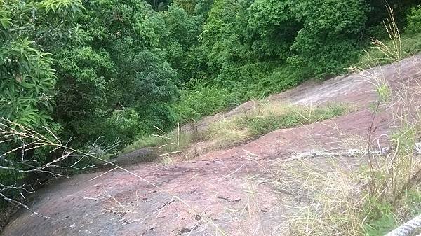 WP_20140913_111.jpg