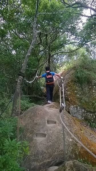 WP_20140913_119.jpg