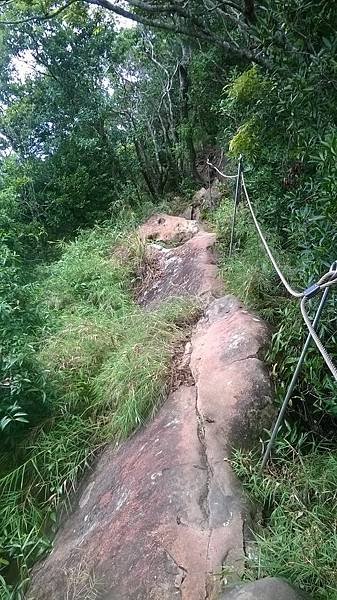 WP_20140913_121.jpg