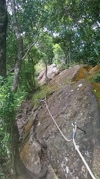 WP_20140913_122.jpg